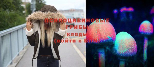 стаф Магадан