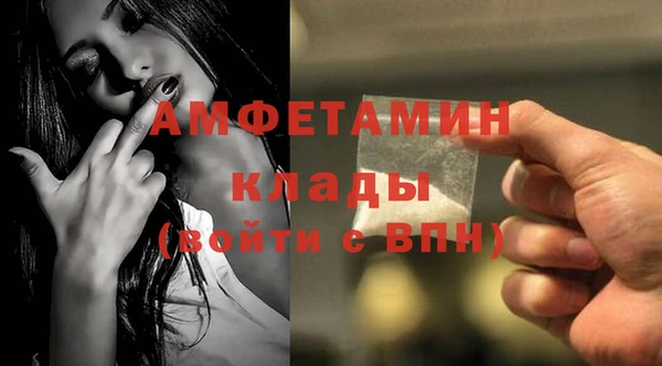 прущие грибы Санкт-Петербург
