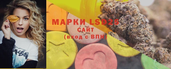 стаф Магадан