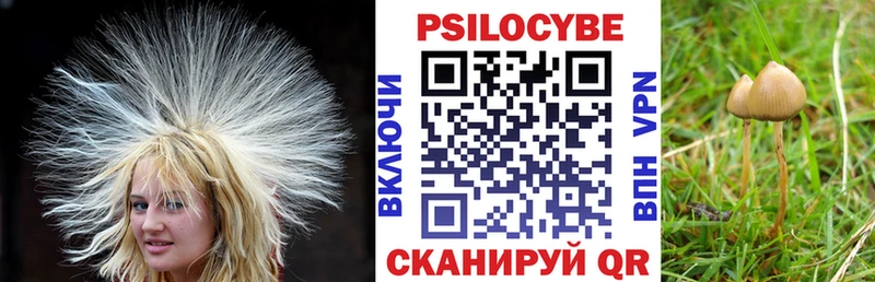 OMG рабочий сайт  Сургут  Псилоцибиновые грибы Psilocybe 