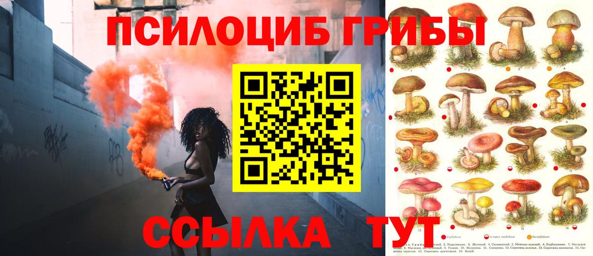 Галлюциногенные грибы MAGIC MUSHROOMS  Сургут 