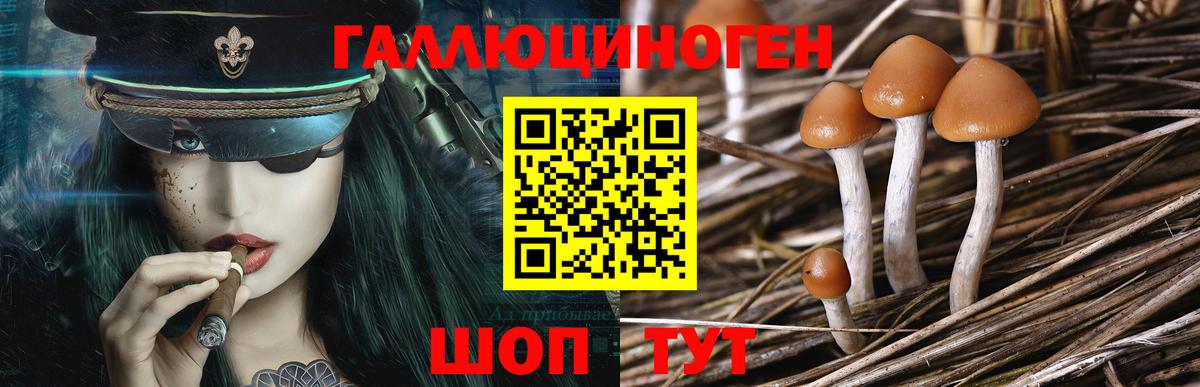 Гашиш  Экстази  ТГК  Мефедрон кристаллы  Меф МЯУ МЯУ   Сургут  Каннабис  Кокаин  Гашиш  A PVP СОЛЬ  